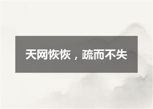 天网恢恢，疏而不失