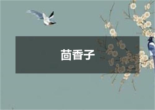 茴香子