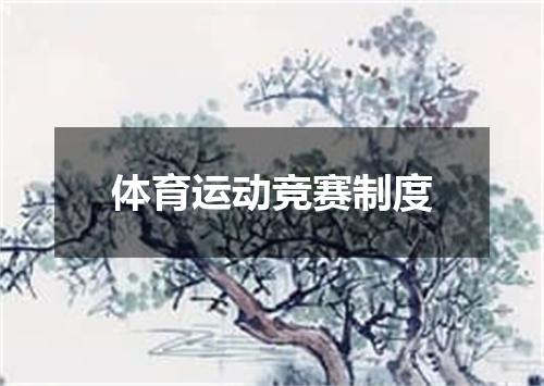体育运动竞赛制度