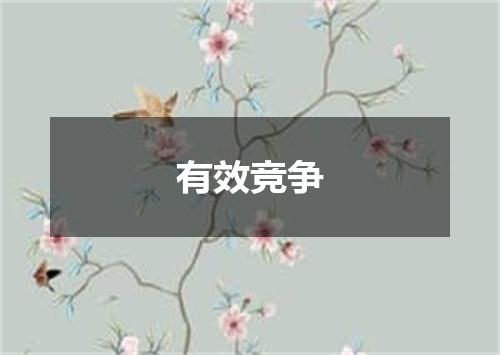 有效竞争