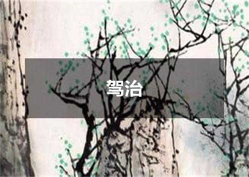 驾治