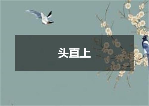 头直上