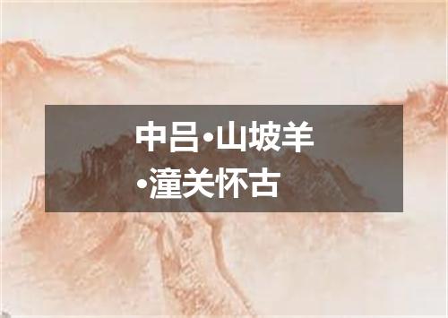 中吕·山坡羊·潼关怀古
