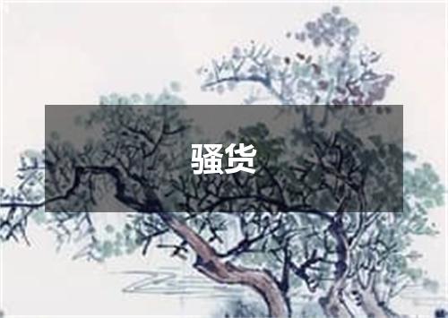 骚货