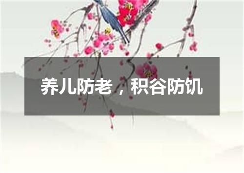 养儿防老，积谷防饥