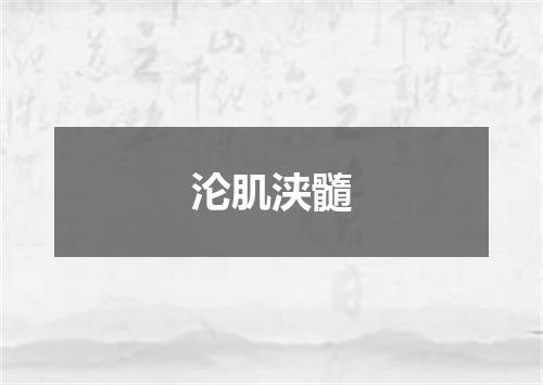 沦肌浃髓