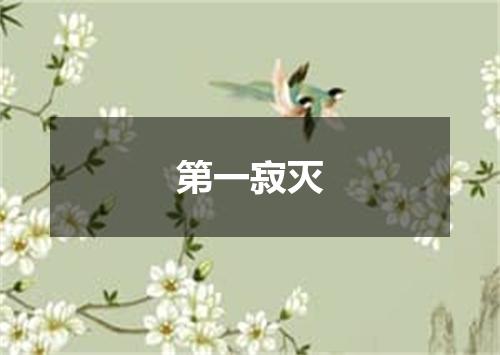 第一寂灭