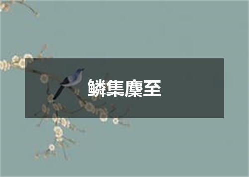 鳞集麇至