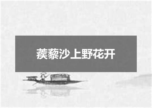 蒺藜沙上野花开