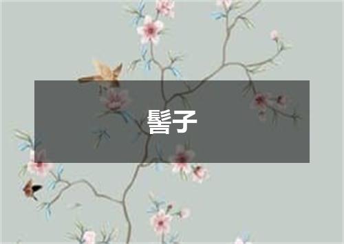 髻子