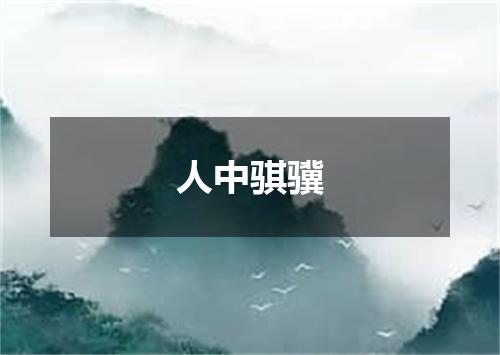 人中骐骥
