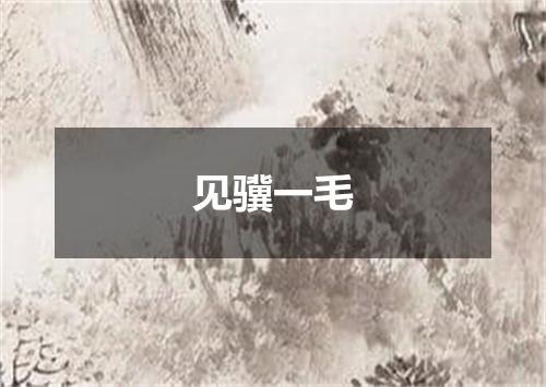 见骥一毛