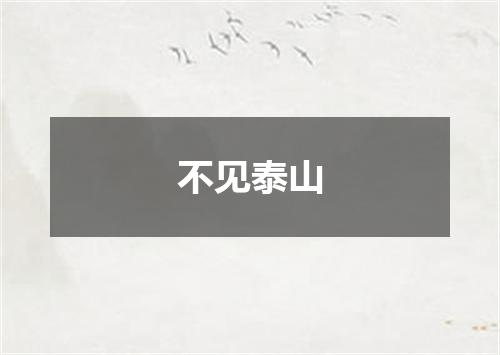 不见泰山
