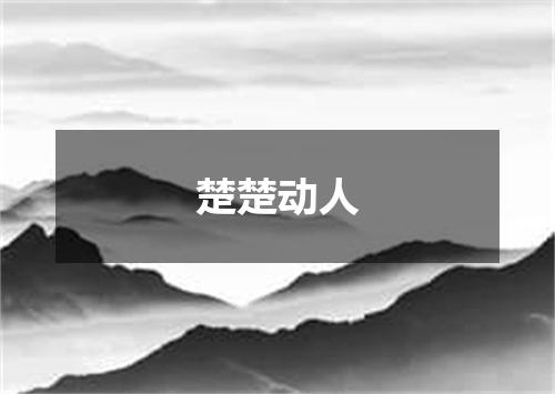 楚楚动人