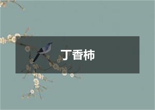 丁香柿