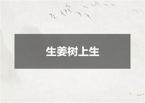 生姜树上生