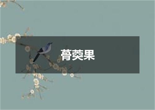 蓇葖果