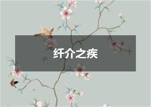 纤介之疾