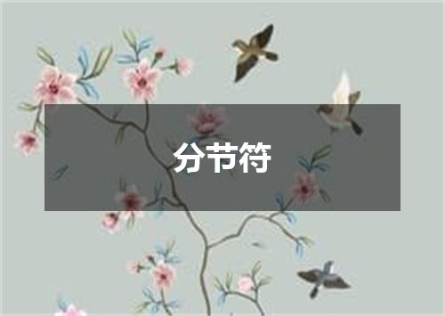 分节符