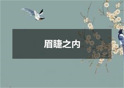 眉睫之内