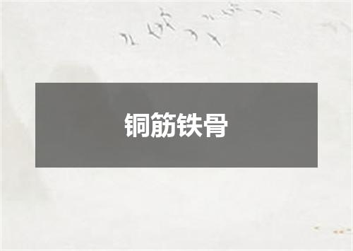 铜筋铁骨