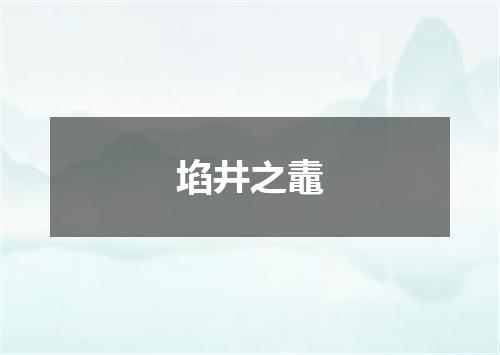 埳井之鼃