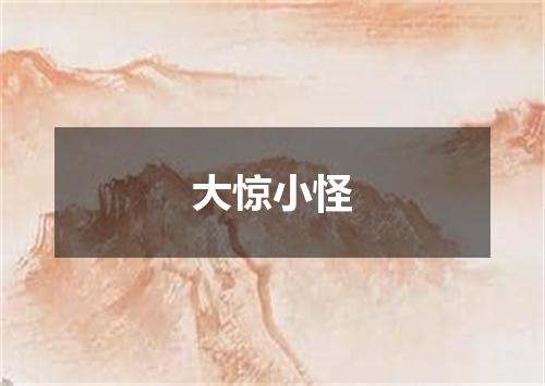 大惊小怪