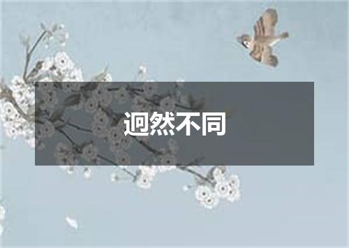 迥然不同