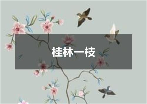桂林一枝