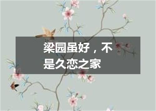 梁园虽好，不是久恋之家