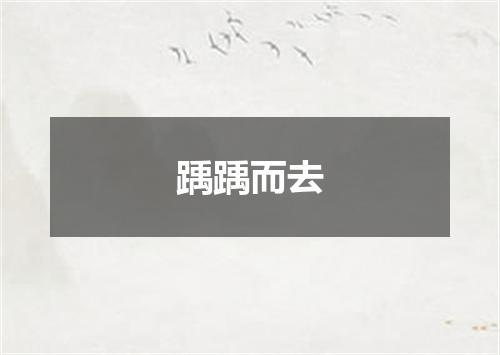 踽踽而去