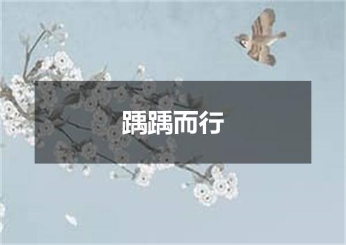 踽踽而行
