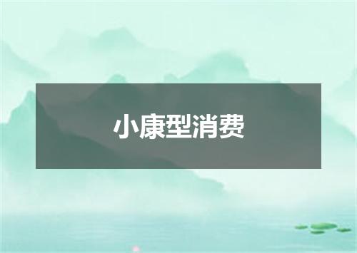 小康型消费
