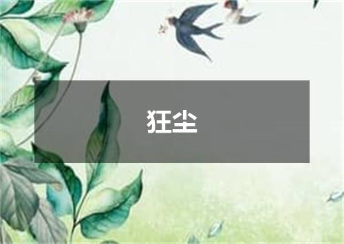 狂尘