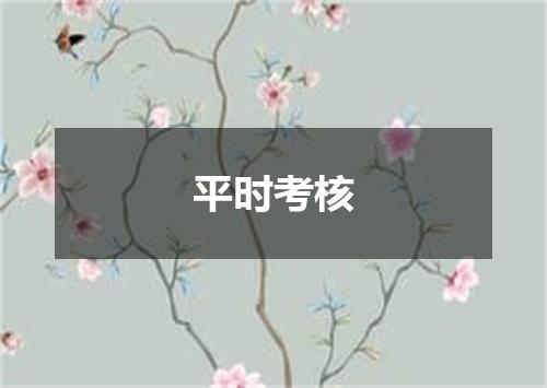 平时考核