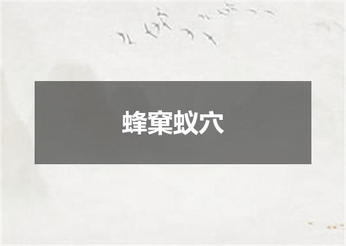 蜂窠蚁穴