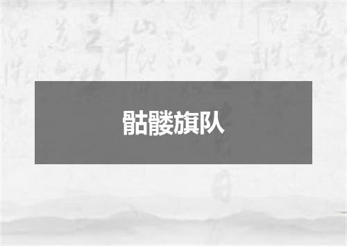 骷髅旗队