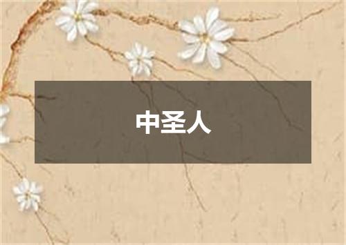 中圣人