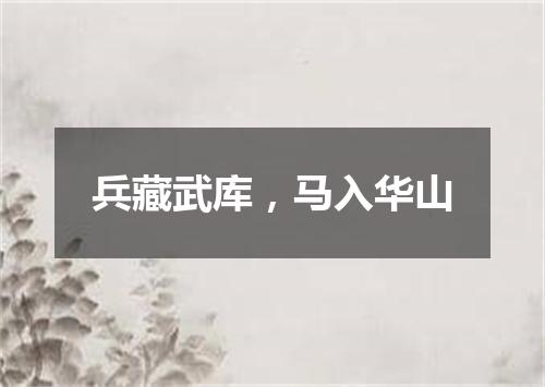 兵藏武库，马入华山