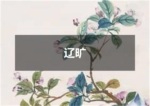 辽旷