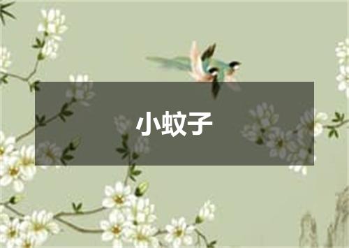 小蚊子