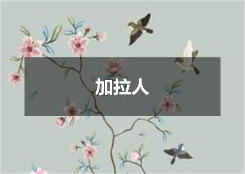 加拉人