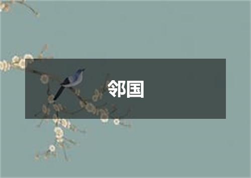 邻国