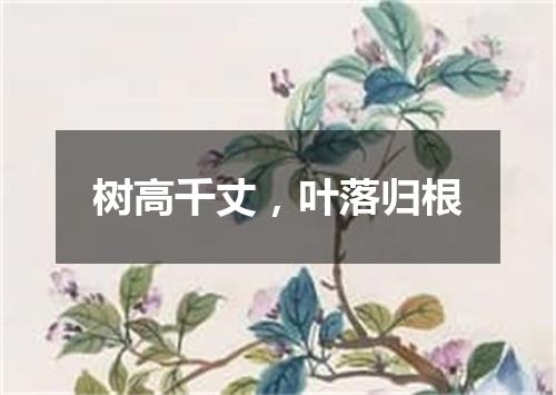 树高千丈，叶落归根