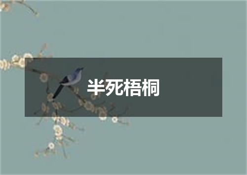 半死梧桐
