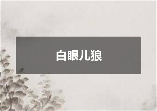 白眼儿狼