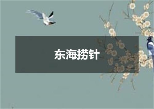 东海捞针