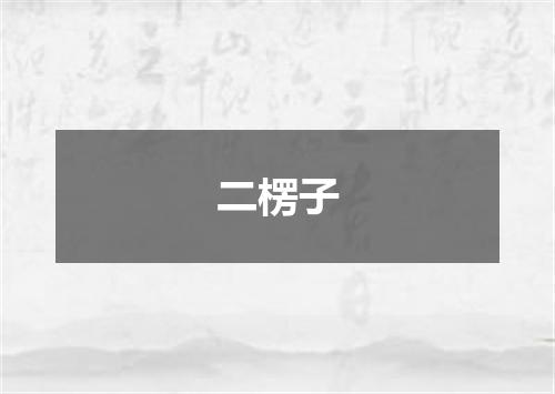 二楞子