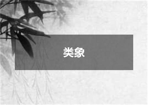 类象