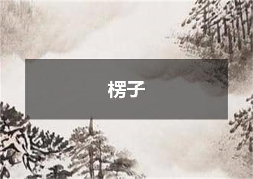 楞子